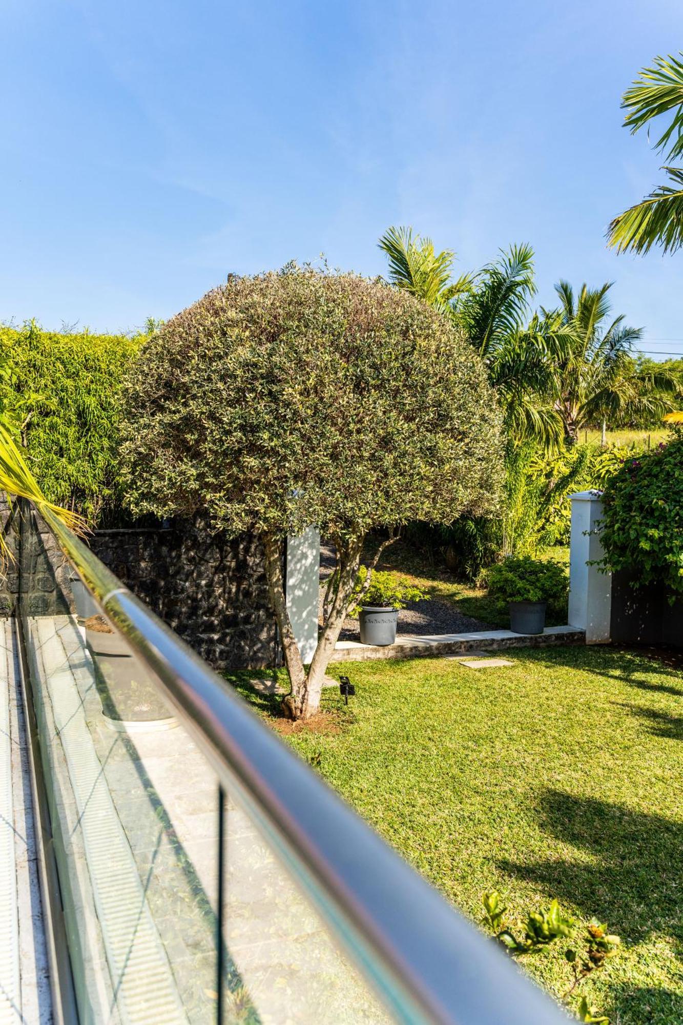 Villa Avec Piscine Vue Mer Et Montagne, En Pleine Nature Saint-Joseph Ngoại thất bức ảnh