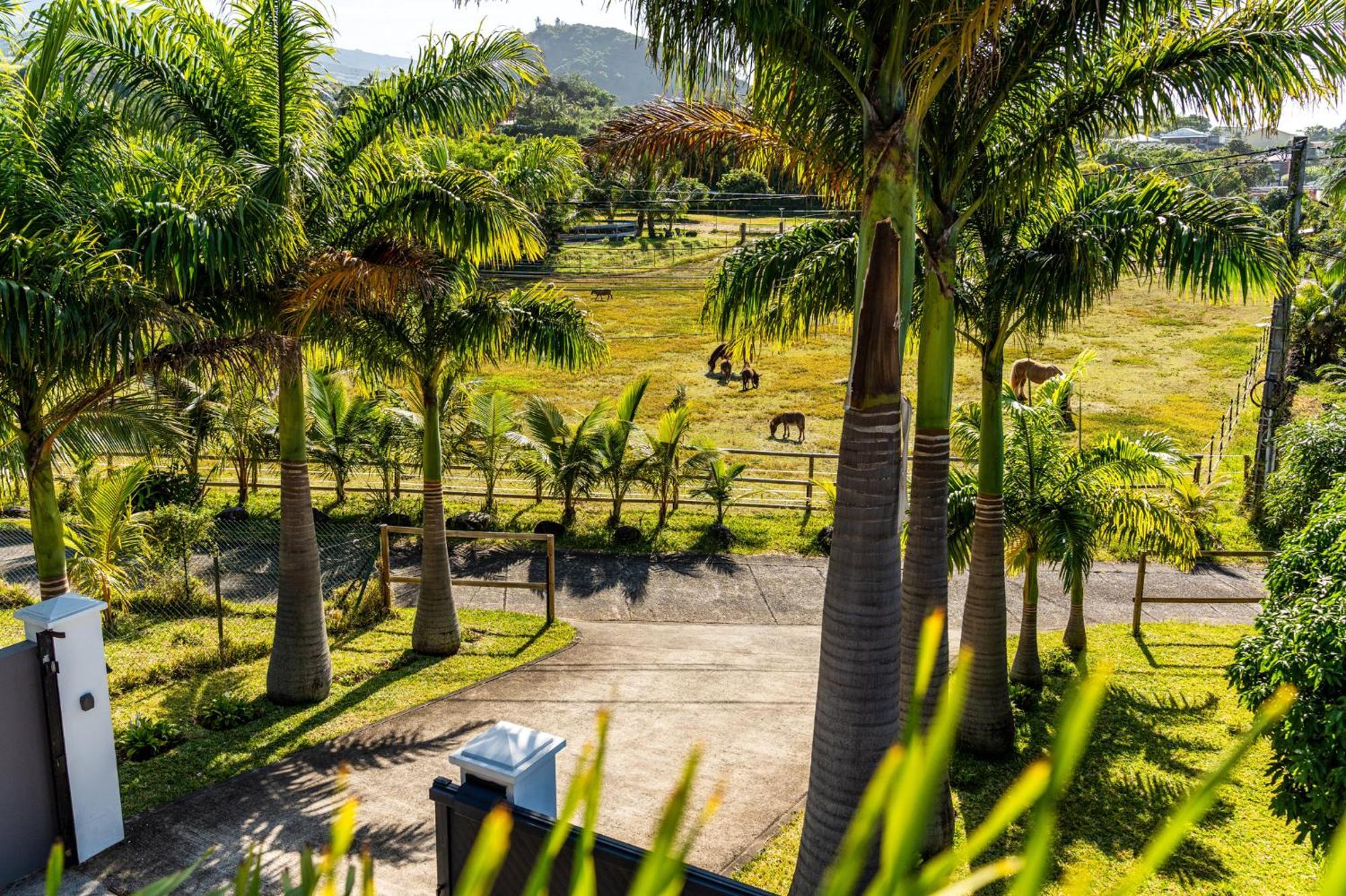 Villa Avec Piscine Vue Mer Et Montagne, En Pleine Nature Saint-Joseph Ngoại thất bức ảnh